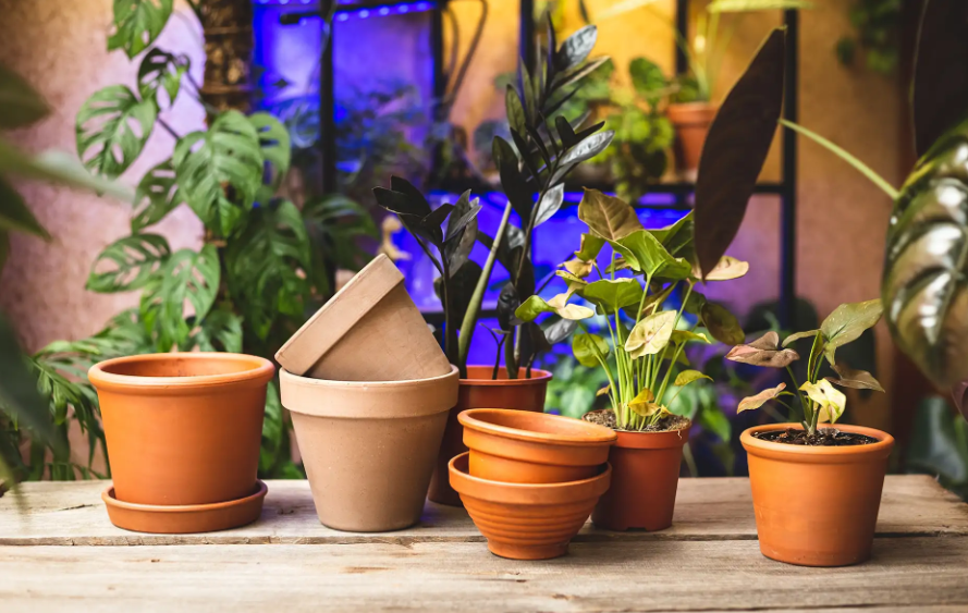 Premium Pots & Garden Accessories
