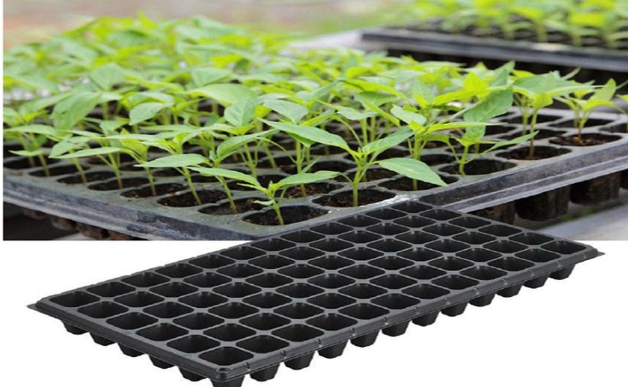 Mini Seedling Tray